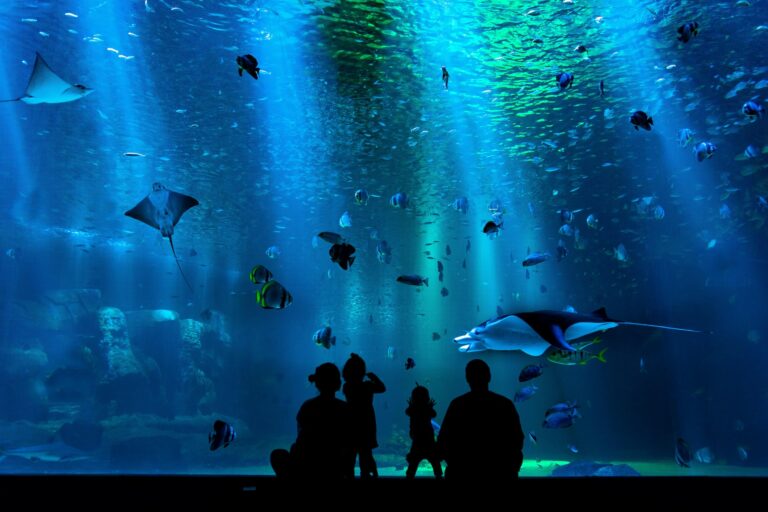 Linnanmäki akvaario